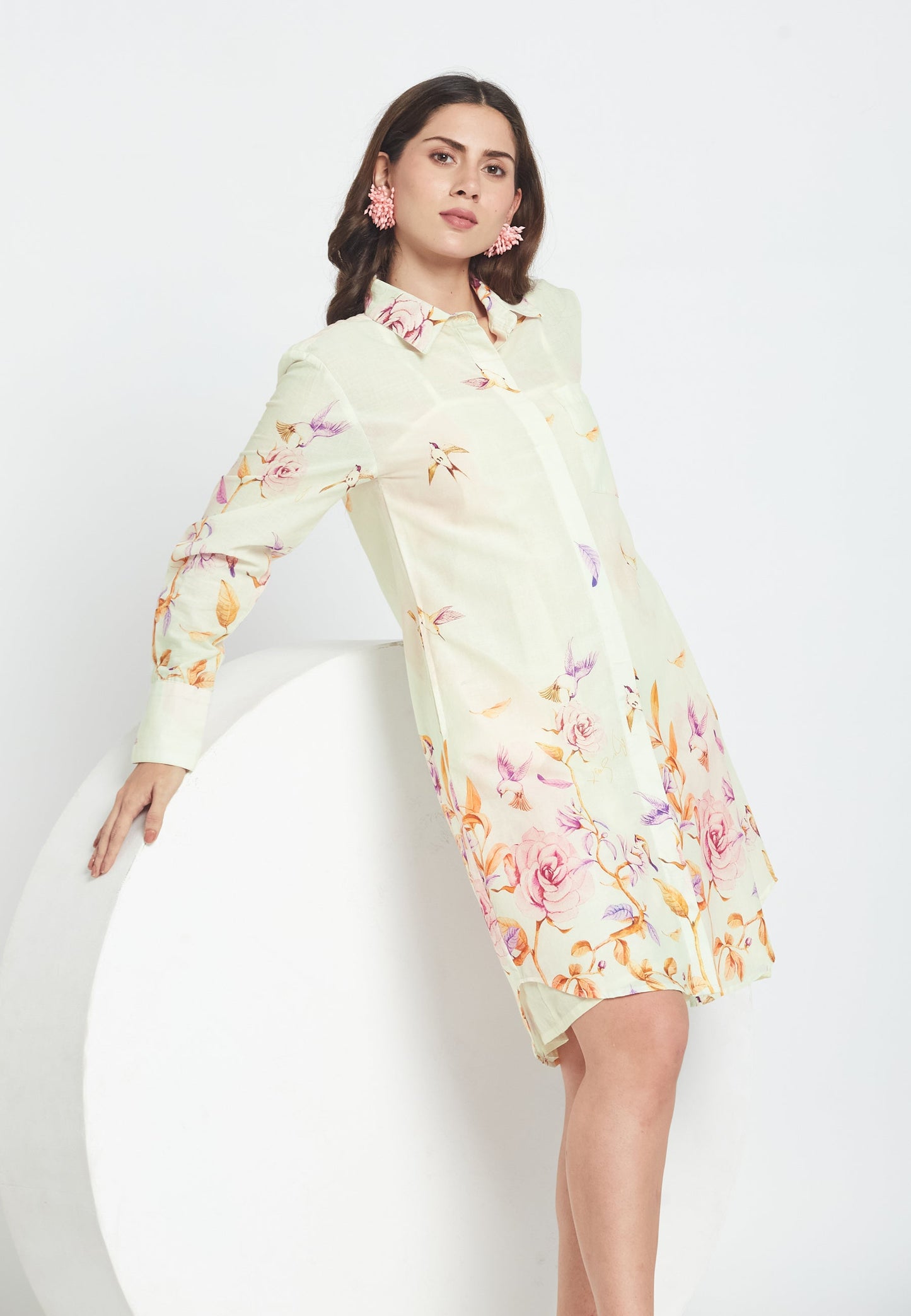 Bay Birdie Shirt Dress